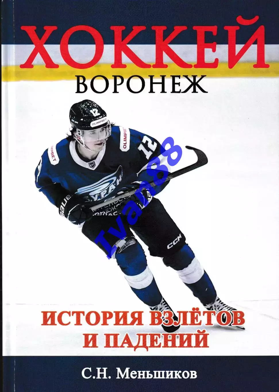 Хоккей. Воронеж. История взлётов и падений. Меньшиков С.Н 2026