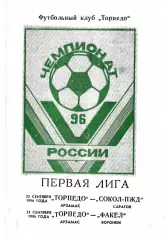 Торпедо Арзамас - Сокол Саратов, Факел Воронеж 1996