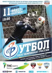 Факел Воронеж - Балтика Калининград 11 апреля 2016