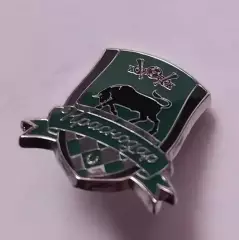 ФК Краснодар (зеленый)