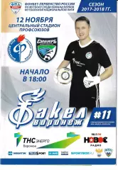 Факел Воронеж - Сибирь Новосибирск 12 ноября 2017