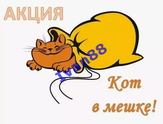Хоккейные программки 150 штук (КХЛ, ВХЛ, НМХЛ) все разные