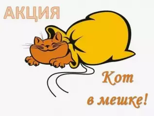 Хоккейные программки 300 штук (КХЛ, ВХЛ, НМХЛ) все разные