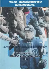Буран Воронеж - Динамо Санкт-Петербург 13 февраля 2023
