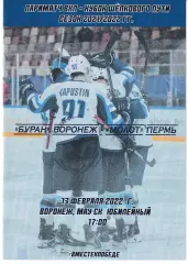 Буран Воронеж - Молот Пермь 13 февраля 2022