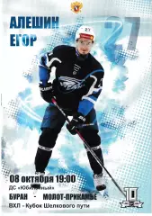 Буран Воронеж - Молот Пермь 8 октября 2019