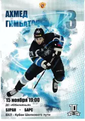 Буран Воронеж - Барс Казань 15 ноября 2019