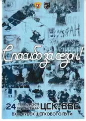 Буран Воронеж - ЦСК ВВС Самара 24 февраля 2019