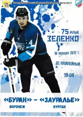Буран Воронеж - Зауралье Курган 18 января 2017