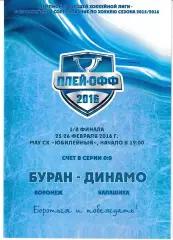 Буран Воронеж - Динамо Балашиха 25-26 февраля 2016