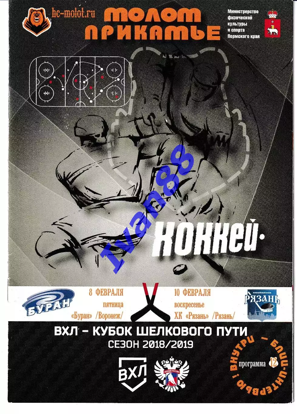 Молот Пермь - Буран Воронеж, Рязань 8,10 февраля 2019