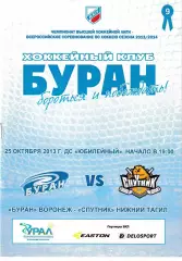 Буран Воронеж - Спутник Нижний Тагил 25 октября 2013