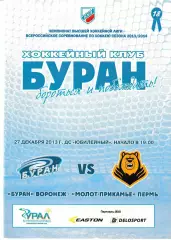 Буран Воронеж - Молот Пермь 27 декабря 2013