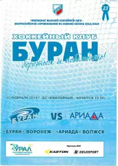 Буран Воронеж - Ариада Волжск 10 февраля 2014