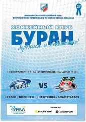 Буран Воронеж - Нефтяник Альметьевск 14 февраля 2014