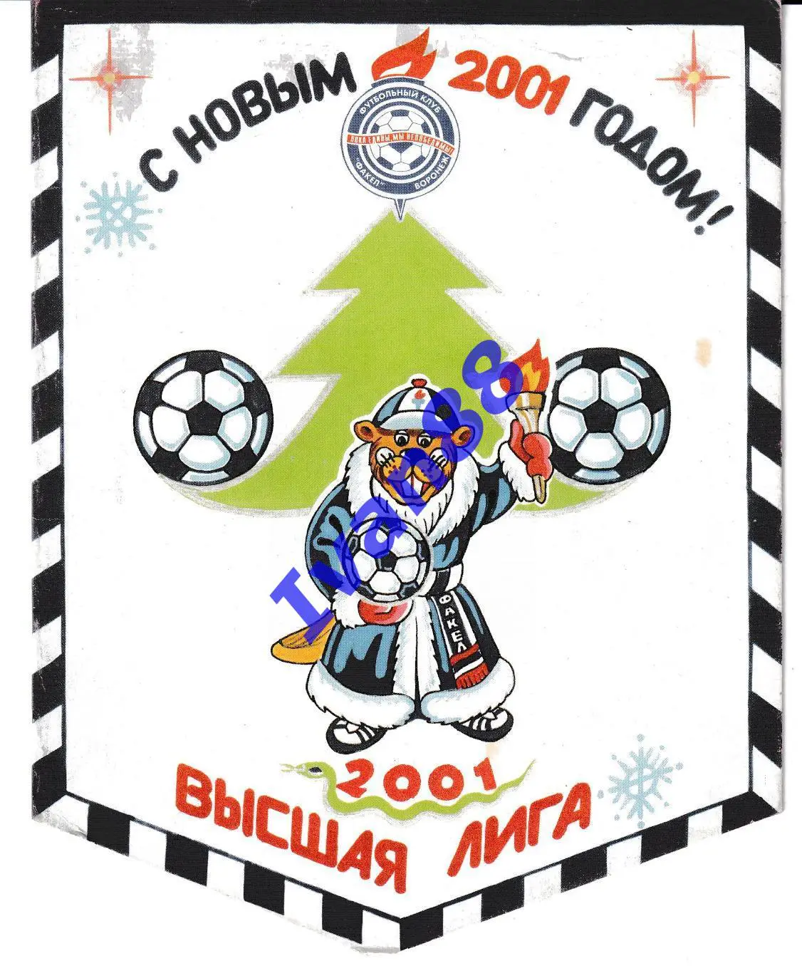 Факел Воронеж 2001