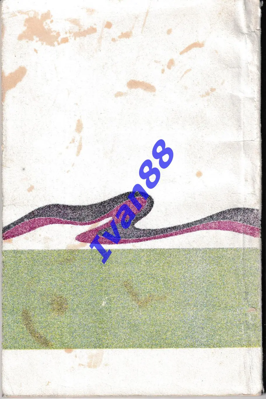 Факел Воронеж 1995 1