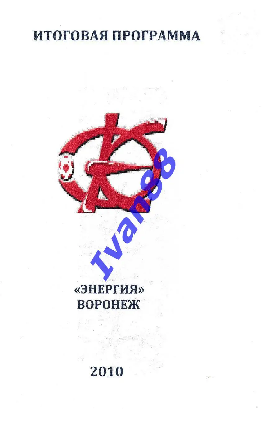 Энергия Воронеж 2010