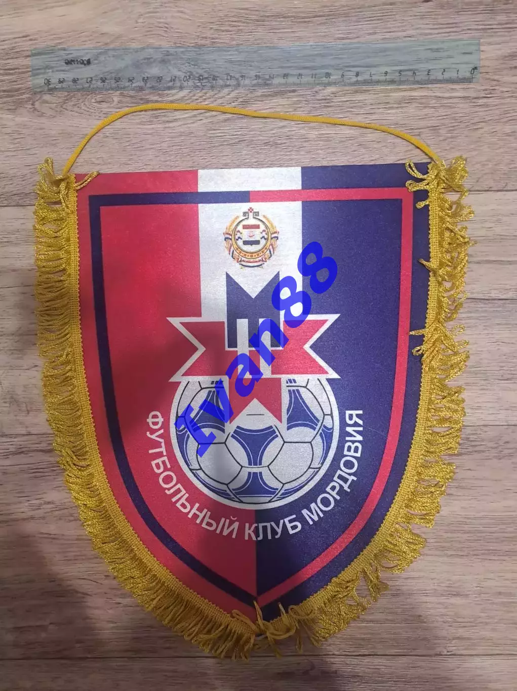 Мордовия Саранск 1