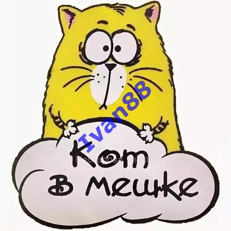 100 разных хоккейных программок (ВХЛ, КХЛ, МХЛ)