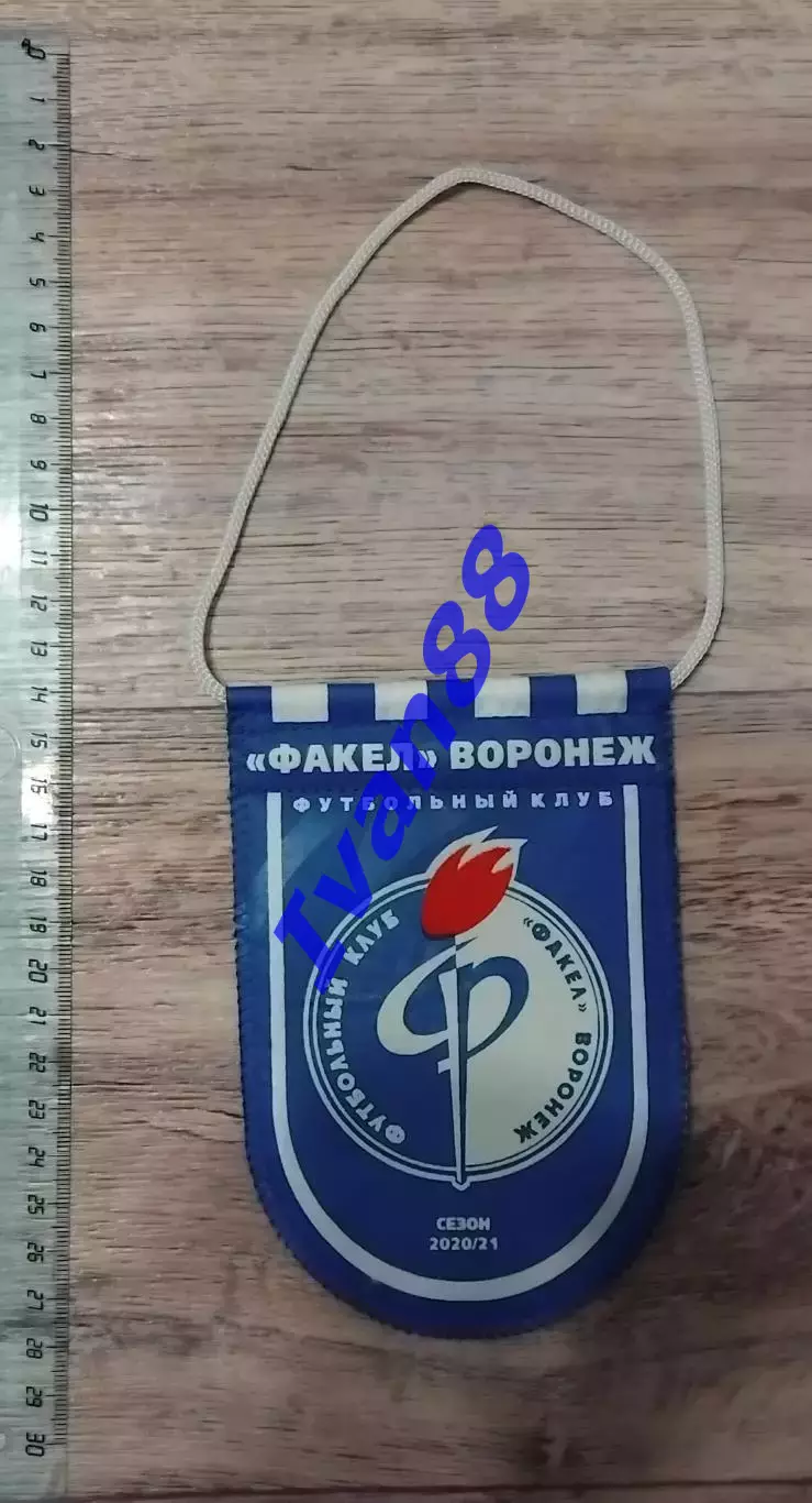 Факел Воронеж.