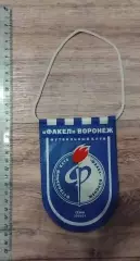 Факел Воронеж.