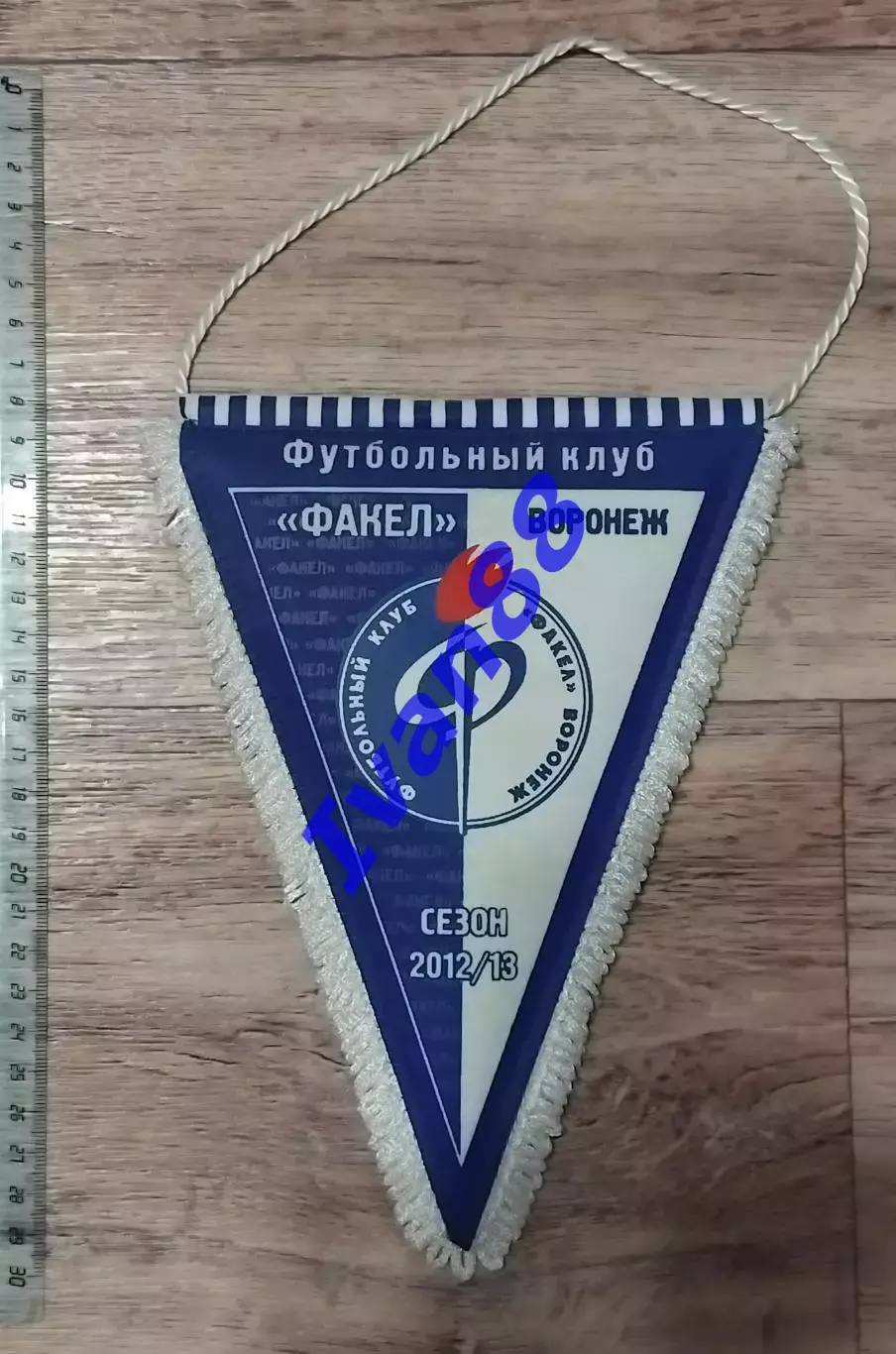 Факел Воронеж 12/13