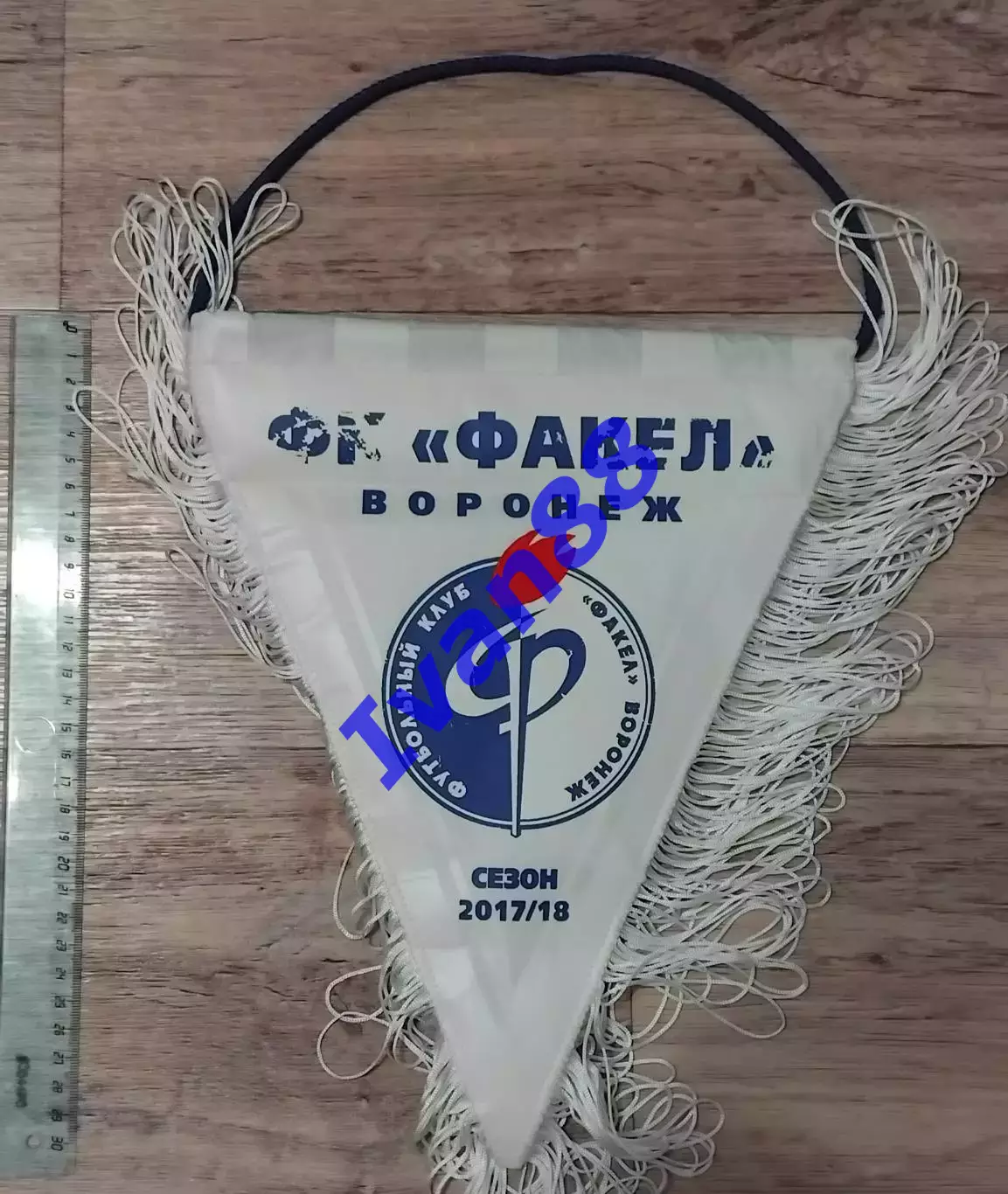 Факел Воронеж 17/18