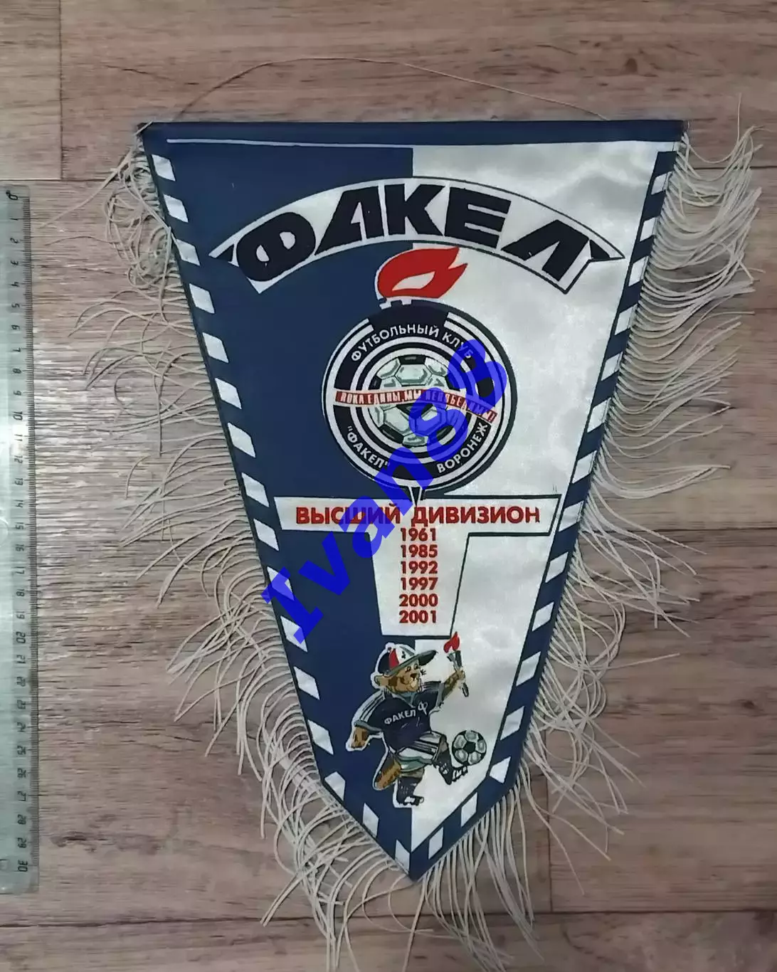 Факел Воронеж 2001