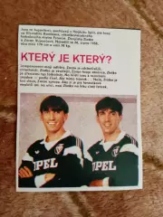 Фото.Футбол.Братья Вуйявич (Югославия).