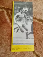 Фото.Р.Гуллит (Голландия).