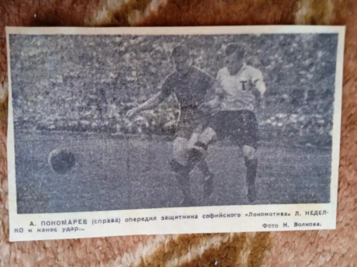 Фото.Футбол.Торпедо (Москва) - Локомотив (София) МТМ.А.Понаморев.