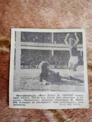 Фото.Футбол.Вест Хэм - Ньюкастл.Англия.