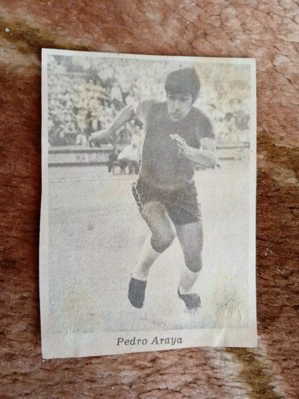 Фото.Футбол.Арая (Чили).