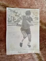 Фото.Футбол.Арая (Чили).