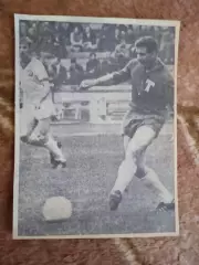 Фото.Футбол.В.Шустиков - Торпедо (Москва).