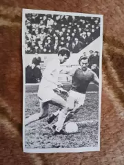 Фото.Футбол.Л.Пахомов - Торпедо (Москва).