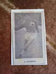 Фото.Футбол.Первые номера сезона.А.Бышовец - Динамо (Киев).