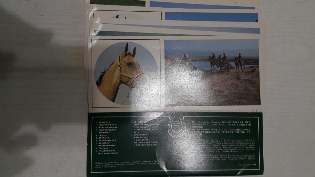 Набор открыток. Такие разные кони. 14 шт. Москва 1988 г. 1