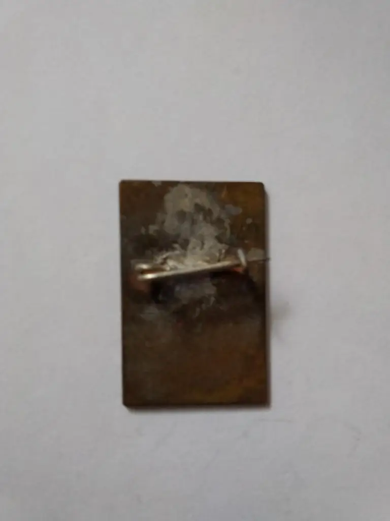 Значок.Конькобежный спорт/Коньки. ЦС ДСО Труд. Сарапул 1966 г. 1