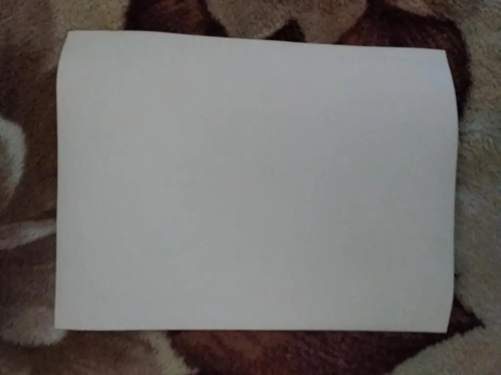 Фото ТАСС.Хоккей. Лада (Тольятти) в высшей лиге.1992 г. 1