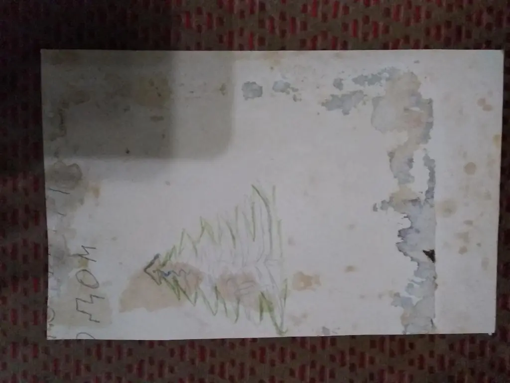 Фото.Хоккей.Юношеский хоккей. 1