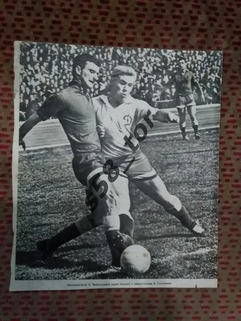 Фото.Футбол.Динамо (Москва,СССР) - Динамо (Тбилиси,СССР). В.Глотов,Н.Майсурадзе.