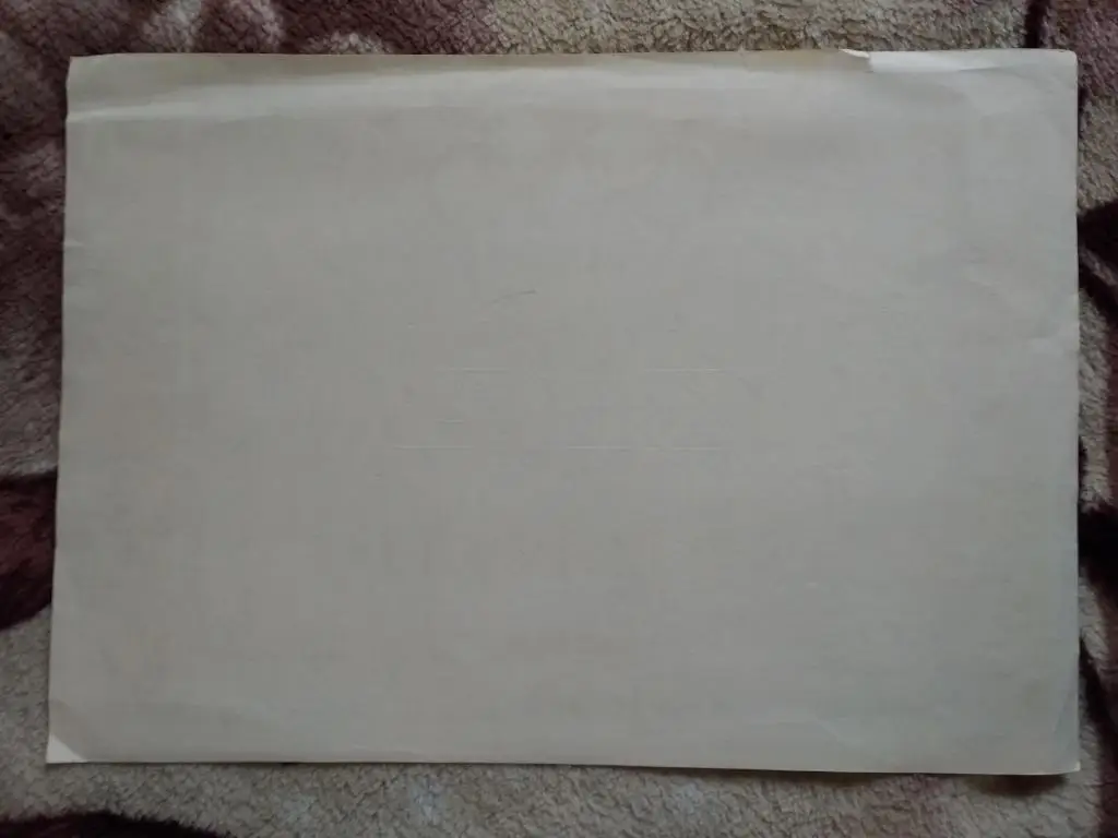 Грамота.Спорт.Коньки.СК Факел (Свердловск-45).1996 г. 1