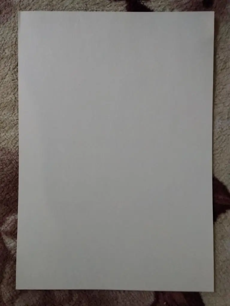 Афиша.Мини-футбол.Первенство России.1 лига.Буферная зона.3 тур.Лесной 2001. 1