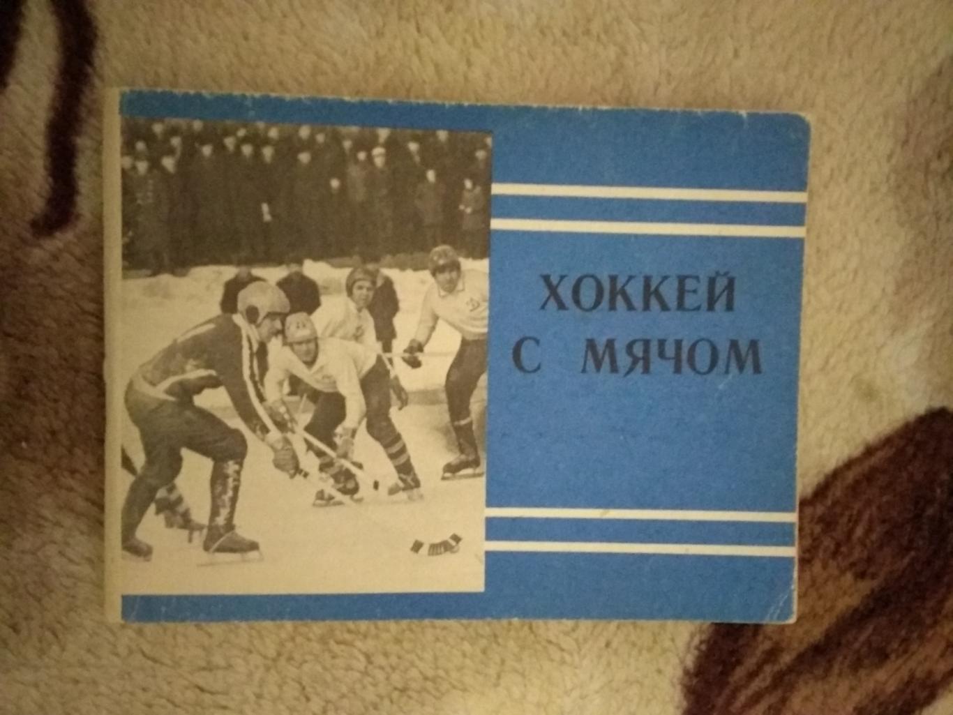Хоккей с мячом.Московская правда 1980-1981 г.