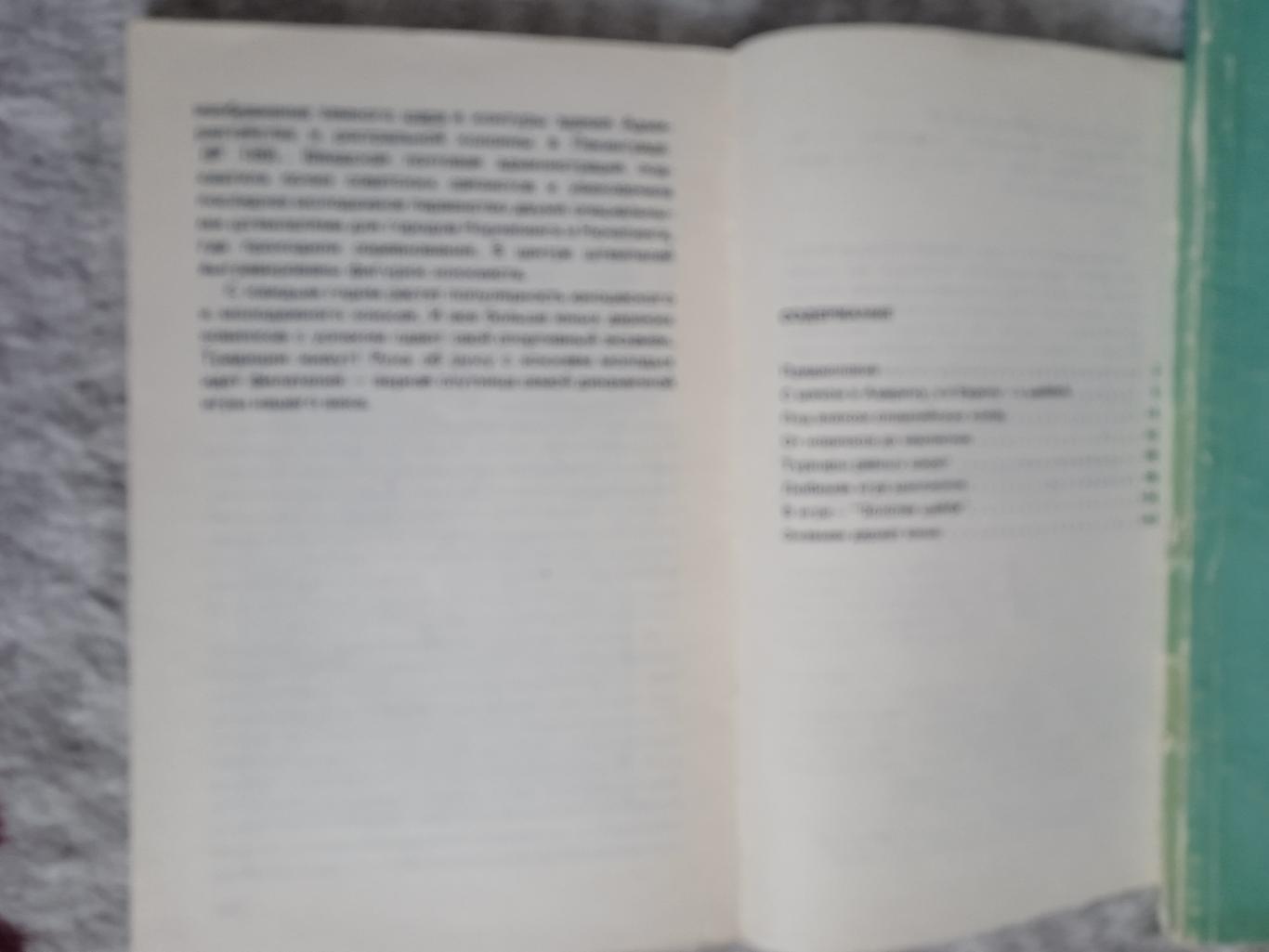 Б.Базунов,В.Садовников.Меридианы хоккейной филателии.Радио и связь 1984 г. 1