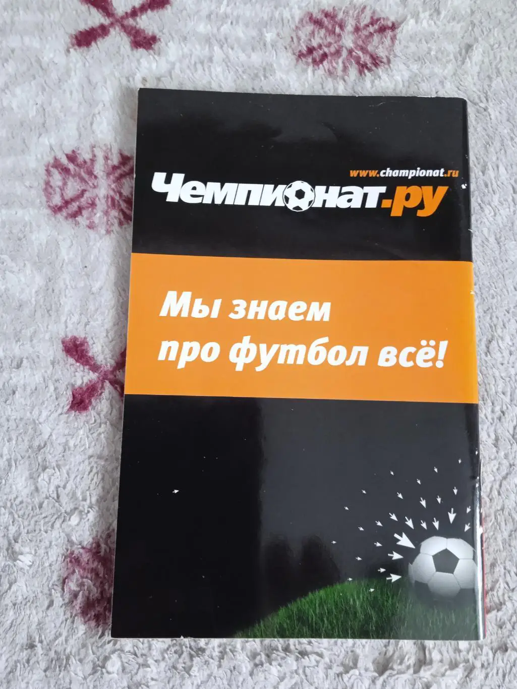 Чемпионат Европы по футблу 2008.Австрия/Швейцария.Гид болельщика.Россия. 1