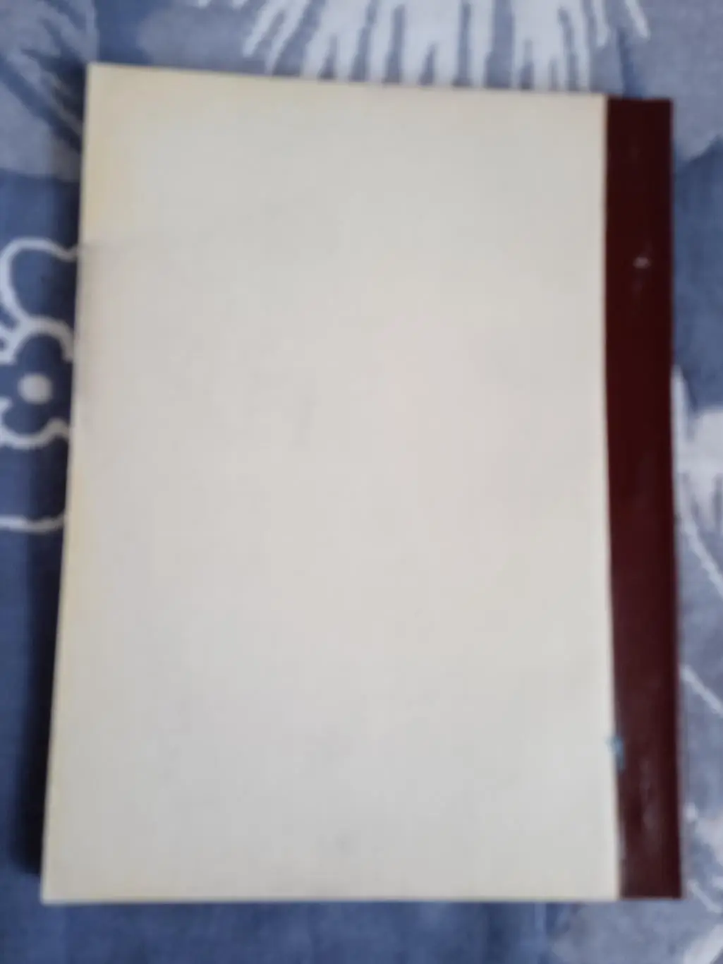 Хоккей с мячом.Свердловск 1990-1991 г. 1