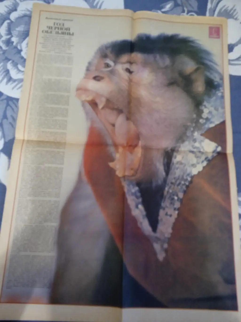 Газета.Собеседник № 52 1991 г. 1